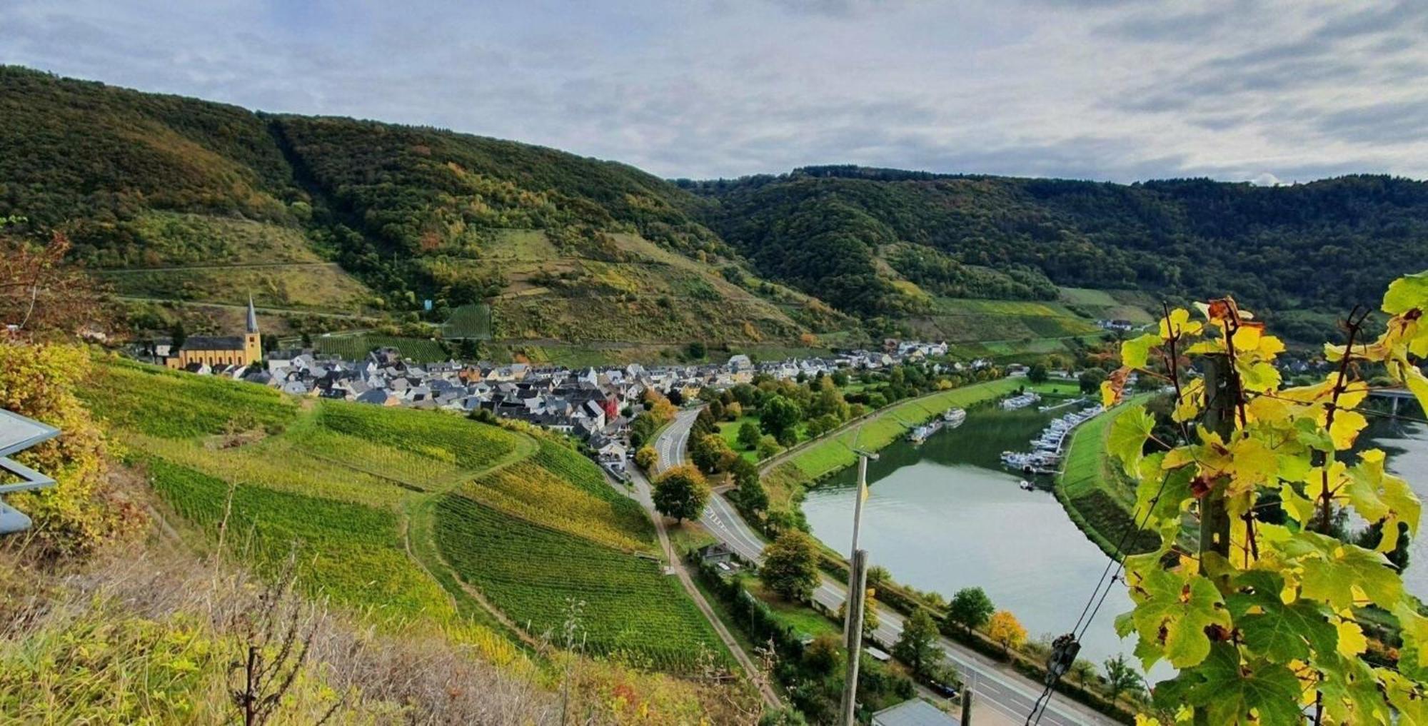 Ferienwohnung An Der Mosel, Romeo Senheim Eksteriør bilde