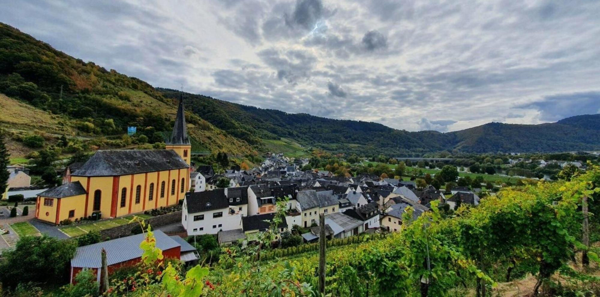 Ferienwohnung An Der Mosel, Romeo Senheim Eksteriør bilde